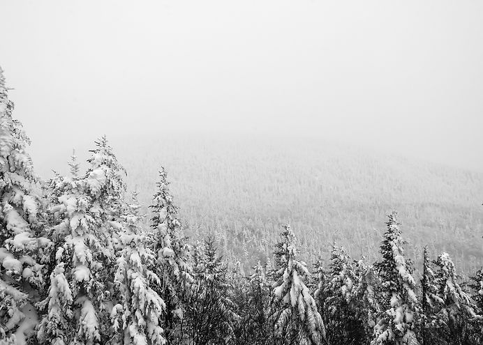 Image by Jeremy Kovac