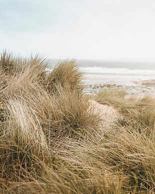 Image by Chelsey Nicoll