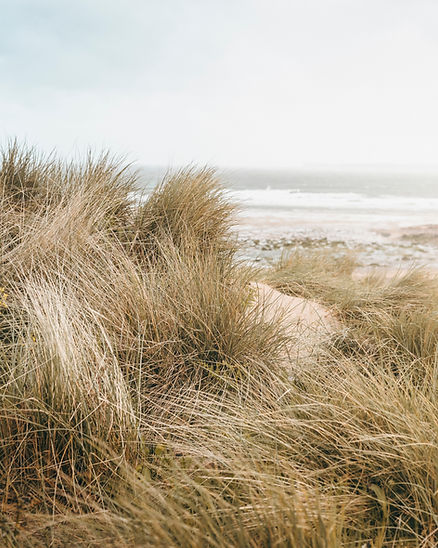 Image by Chelsey Nicoll