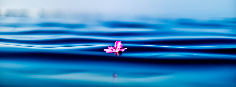 Image by Juan chavez