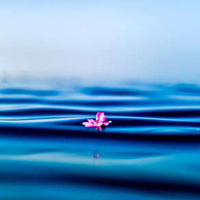 Das Stirnchakra – Ajna-Chakra