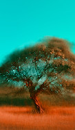 Image by Jr Korpa