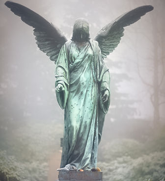 Image by Marek Studzinski