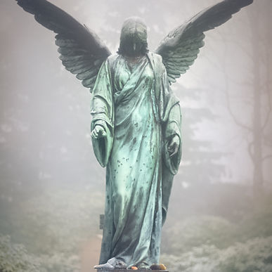 Image by Marek Studzinski