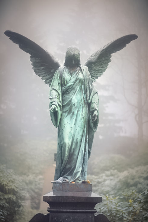 Image by Marek Studzinski