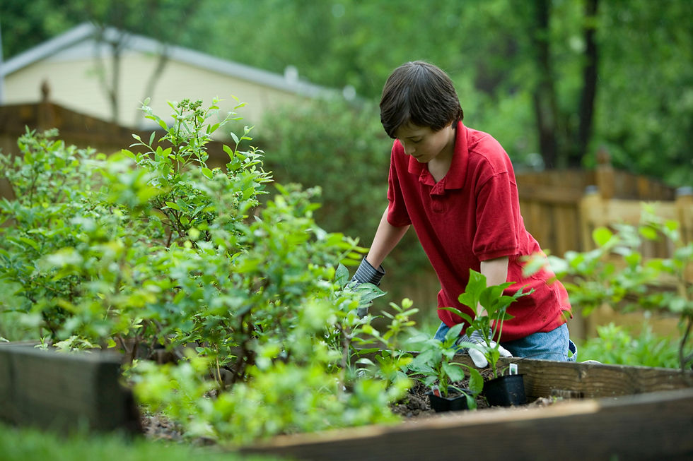 Eco-Friendly Landscaping Ideas for a Sustainable Yard