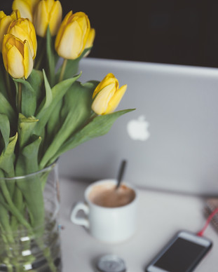 Image by Alisa Anton