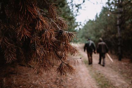 Image by Andras Vas