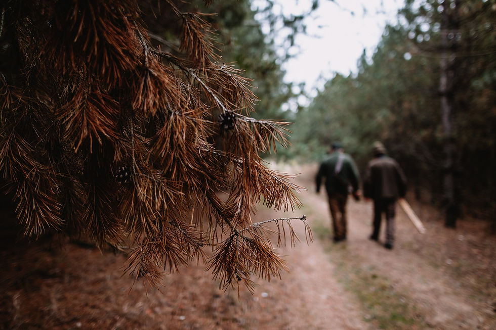 Image by Andras Vas