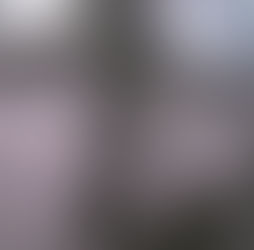 The Costs and Incentives Behind Migration Policies