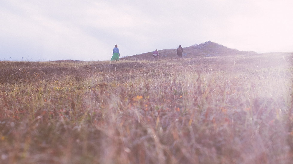 Image by Evgeniy Serov
