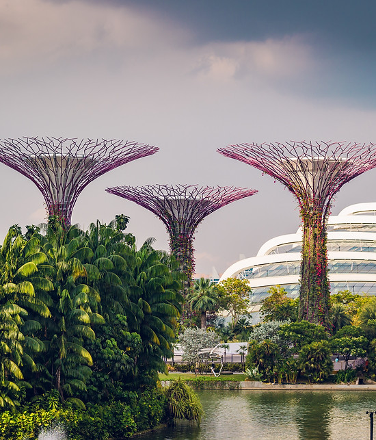 Gardens by the Bay
