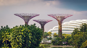 Supertree Grove and the Cloud Forest dome at Gardens by the Bay, Singapore