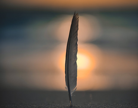 Image by Javardh