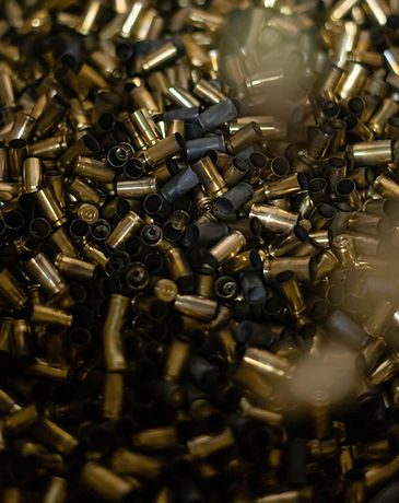 Image by Sophia Müller