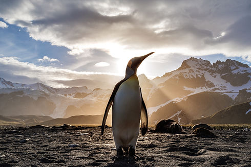 Image by Ian Parker