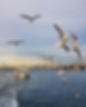 Image by Süheyl Burak
