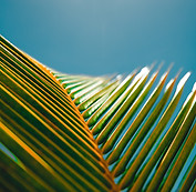 Image by Jakob Owens