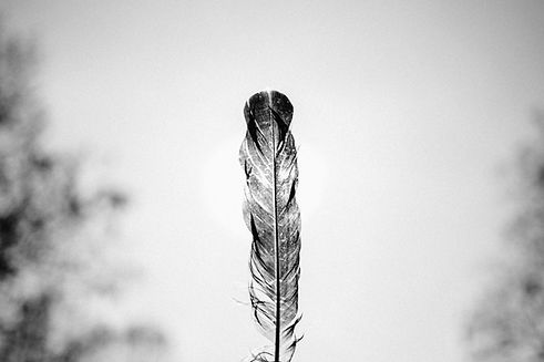 Image by freestocks