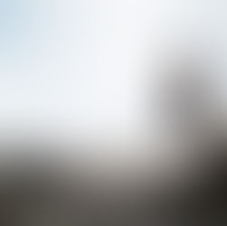 The Power of Resilience: How to Thrive in the Face of Adversity