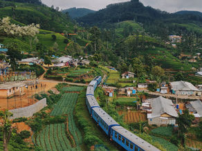 Foreningsrejse i Sri Lankas Højland – Kandy • Nuwara Eliya • Ella (10 dage)
