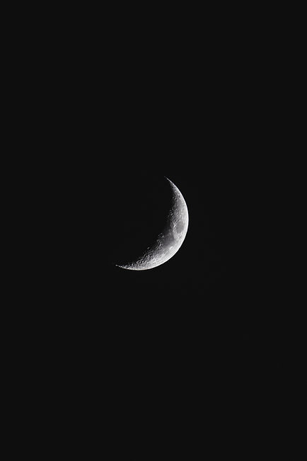 Image by Luke Stackpoole