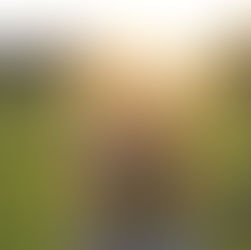 Divorce Coach Insights: Your Guide to Emotional Resilience with the Create Your Life Model