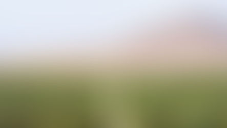 The Enchanted Odyssey of Neuro-Linguistic Programming: What is NLP aka Neuro-Linguistic Programming?