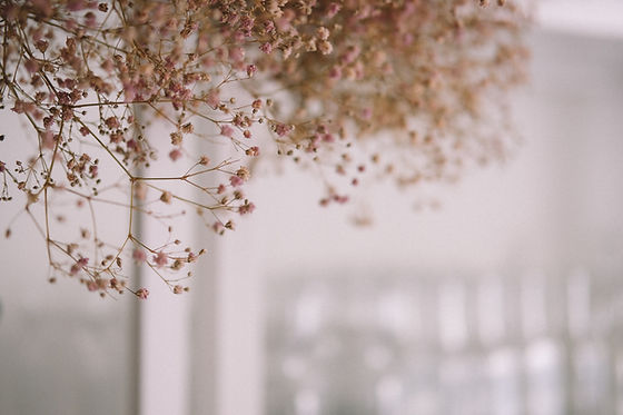 Image by peter bucks