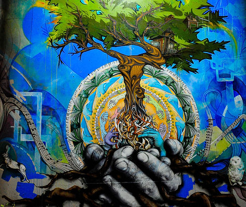 Image by Toni Reed