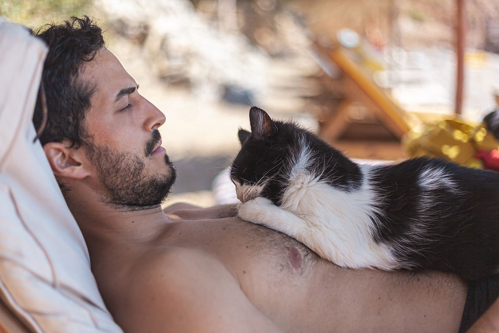 'Cat Dads' include GenZ and NBA players