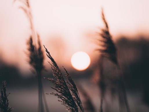 The Eve Of Blissful Slumber