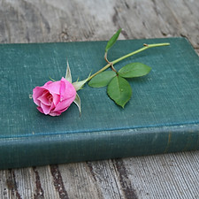 Image by Kamala Bright