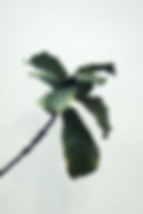 Image by Kendal