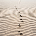 Image by magnezis magnestic