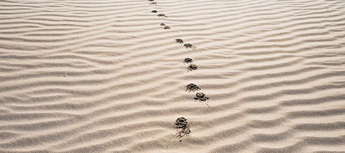 Fußspuren im Sand