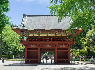 Image by Fumiaki Hayashi