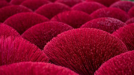 Mindfulness Blog for Educators: Common Challenges to Mindfulness Meditation- Part One