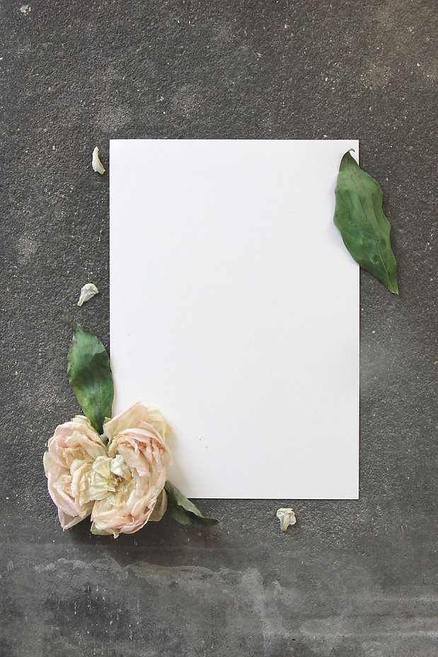 Image by Angèle Kamp