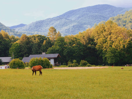 Cherokee County, What a Great Place to Live!