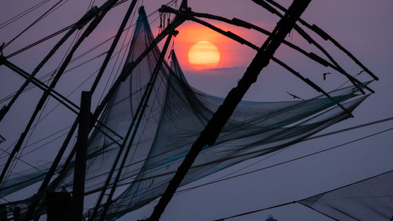 Cochin Chinese Fishing Nets