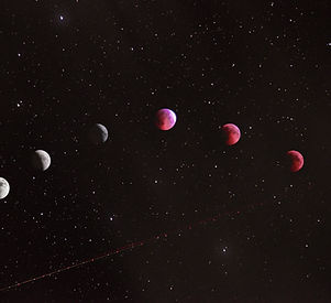Image by Farzad Mohsenvand