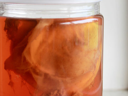 Kombucha Benefits