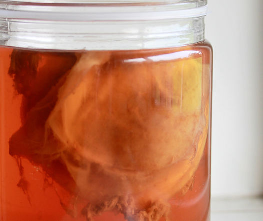 Image by Gareth Hubbard