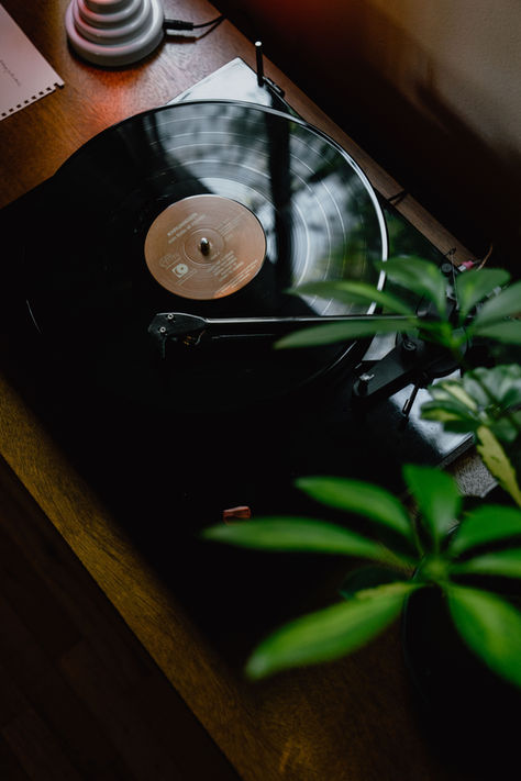 Harmonies of Influence: The Transformative Power of Music