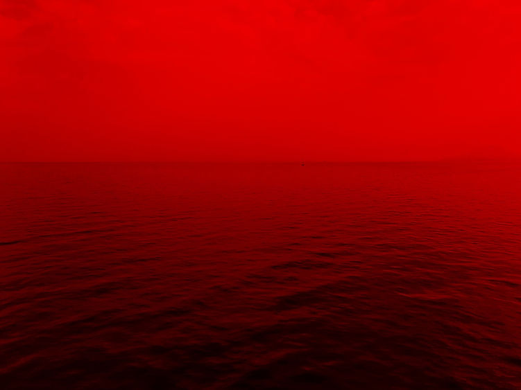 Image by Alexander Mils