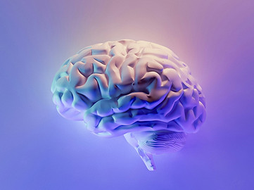 Image by Milad Fakurian