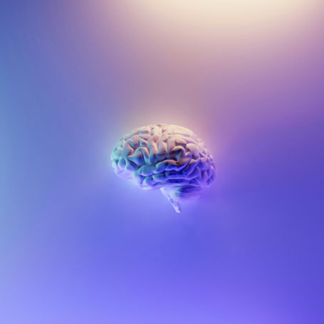 A brain with tranquil color