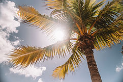 Image by Jared Rice