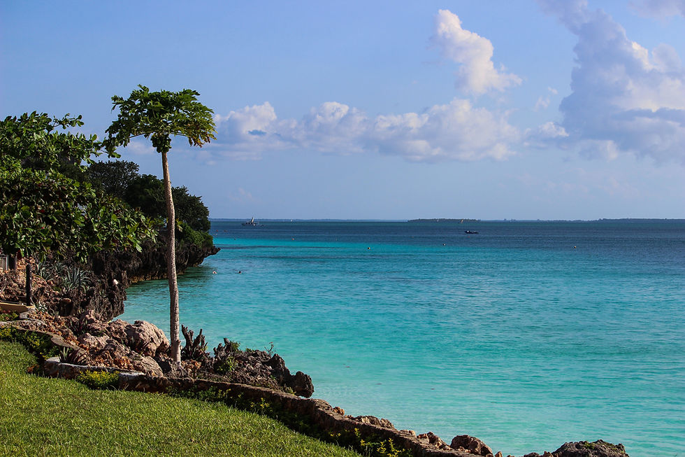 Vefa Praia Zanzibar Tanzania